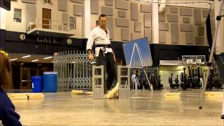 NDMAI 2012 Board Break Compilation
