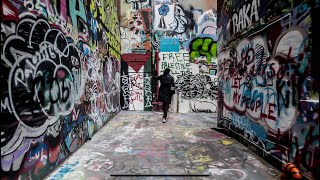 Graffiti Alley free Palestine  - Ann Arbbot Downtown
