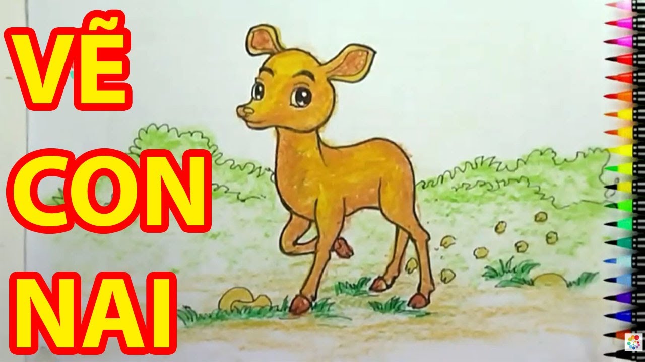 VẼ CON NAI - Cách Vẽ Con Nai Đơn Giản Đẹp Dễ thương - Draw deer ...
