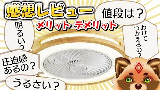 使ってみた感想と質問に答えるよ！初シーリングファンライト【詰草マカロル/狸Vtuber】