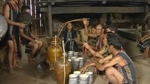 Lễ cưới của người M