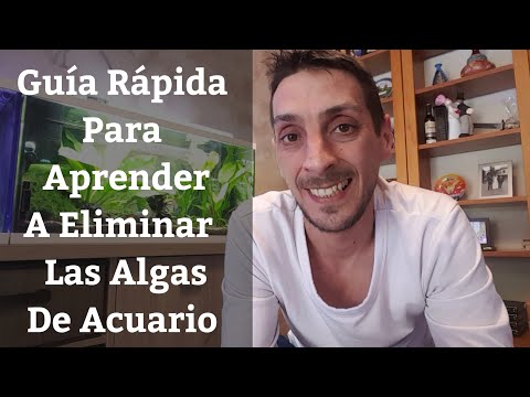 Video: Cómo Deshacerse De Las Algas En Su Acuario