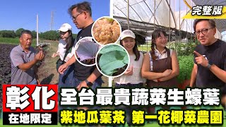 《詹姆士出走料理》全台最貴蔬菜「生蠔葉」 彰化限定!!紫色地瓜葉茶、一吃就上癮花椰菜乾農家菜!-第243集-2024/1/14