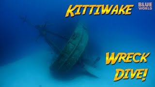 Return to the Kittiwake Wreck (It's sideways now!)
