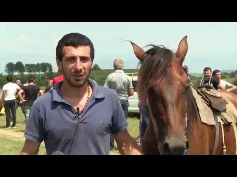 თემობა 2016