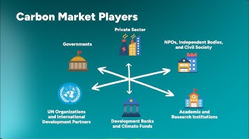 Article 6 Educational Video #4: Inside the Carbon Market Ecosystem: Financing and Key Players
