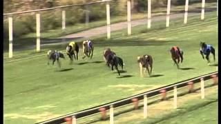Capalaba-12092015-Race-4
