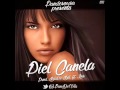 PANDESOUSA - PIEL CANELA