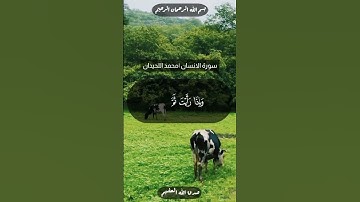عينا تسمى فيها سلسبيلا#سورة_الإنسان#محمد_اللحيدان#قران_كريم#راحة_نفسية#المصحف#جمعة_مباركة#الله#محمد.