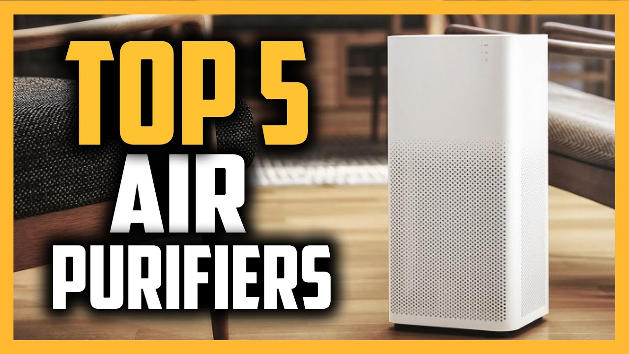 Best Air Purifier in 2020 5 Picks For Pets, Dust & Allergies! YouTube