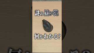 謎のマウス【Razer Pro Click V2 Vertical Edition】