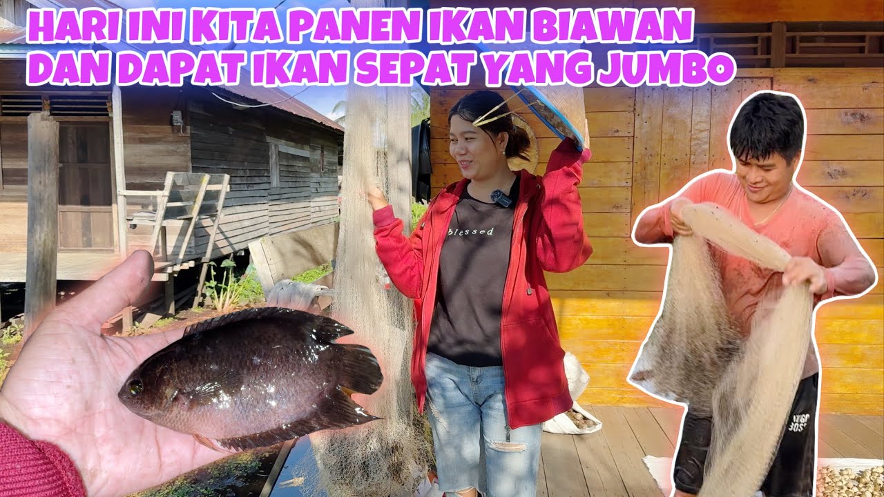 PERGI KE KAMPUNG SUNGAI KE TIGA MENJALA IKAN  PERJALANAN LUMAYAN JAUH
