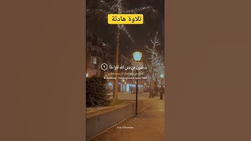 تلاوة هادئة بصوت جميل سورة النصر