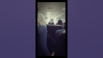 أجمل تلاوة سمعتها في حياتي 👼