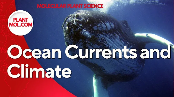 Ocean Currents and Climate: How the Oceans Shape Our World