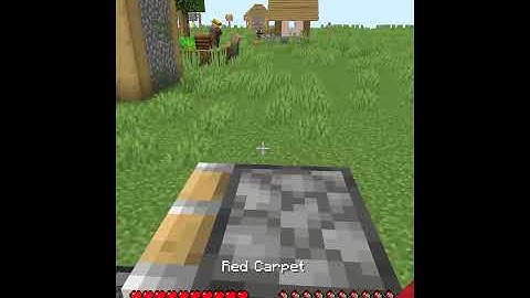 How to make a carpet Duper in 27seconds Minecraft 1.17 #shorts #Minecraft