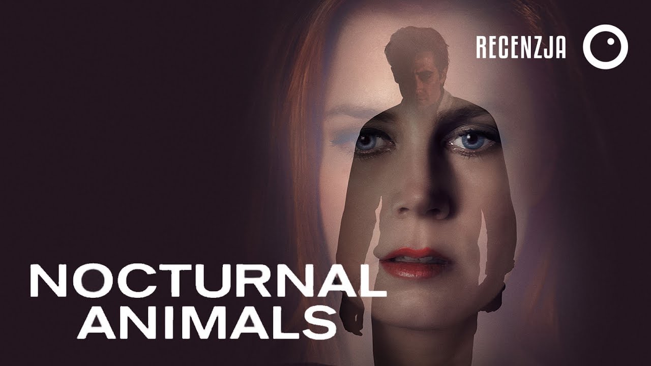 Nocturnal Animals / Zwierzęta nocy - Recenzja #234 - YouTube