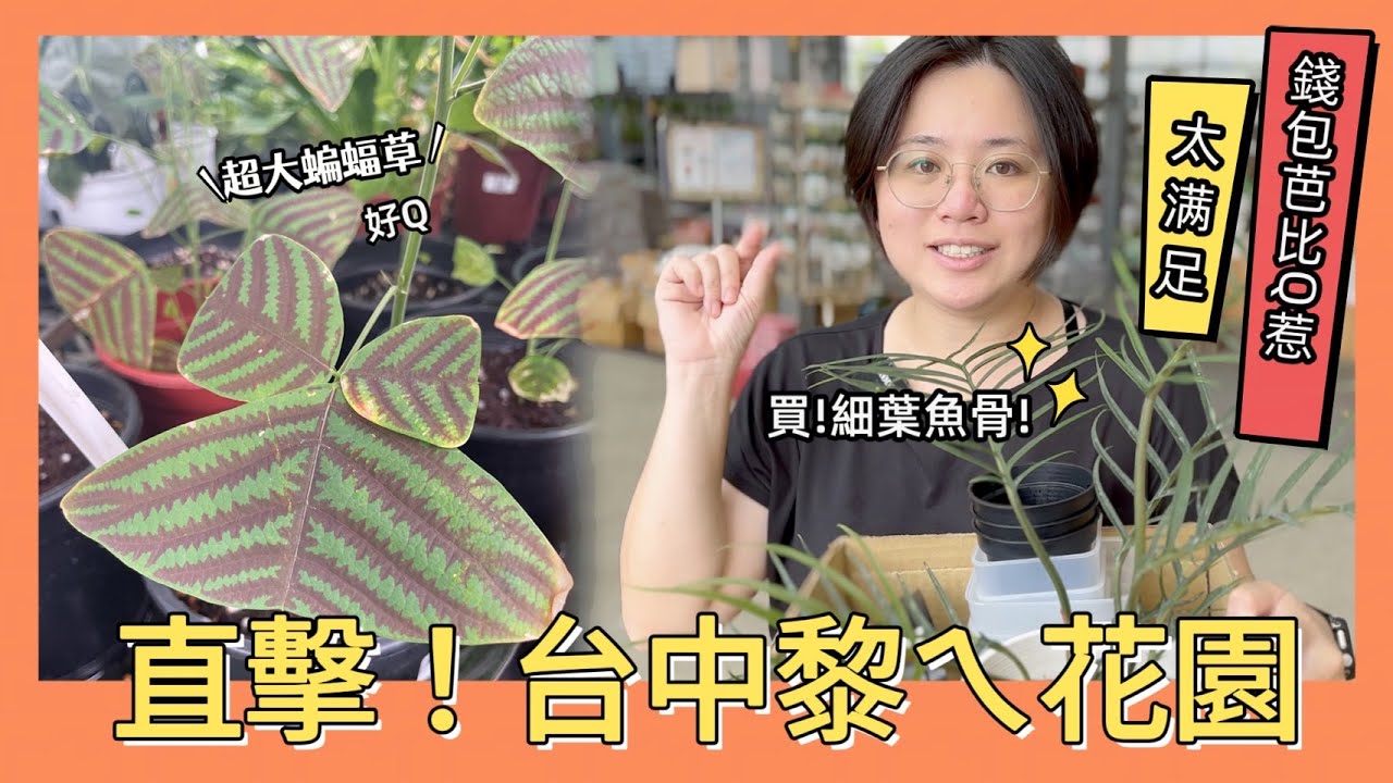 直擊！台中「黎ㄟ花園」花市失心瘋AGAIN!!!