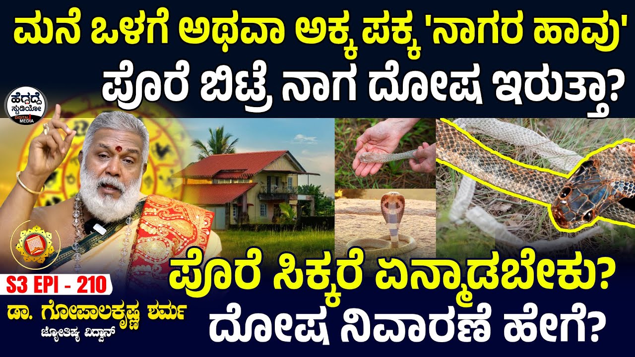 ಮನೆ ಒಳಗೆ ಅಥವಾ ಅಕ್ಕ ಪಕ್ಕ 'ನಾಗರ ಹಾವು' ಪೊರೆ ಬಿಟ್ರೆ ನಾಗ ದೋಷ ಇರುತ್ತಾ? Dr Gopalakrishna Sharma | S3E- 210