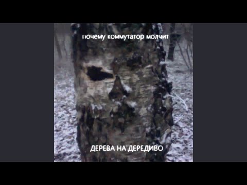 Бегите берёзы