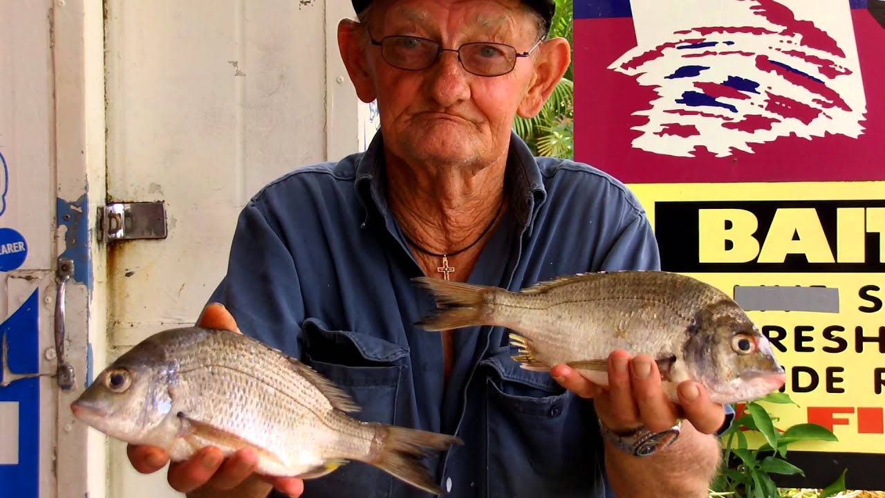 Catch Gallery: Bream from the Upper Maroochy River 24/12/2012 - YouTube