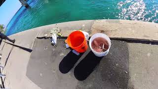 Ii-01 Fishing At Haulover Inlet, Miami Beach Florida