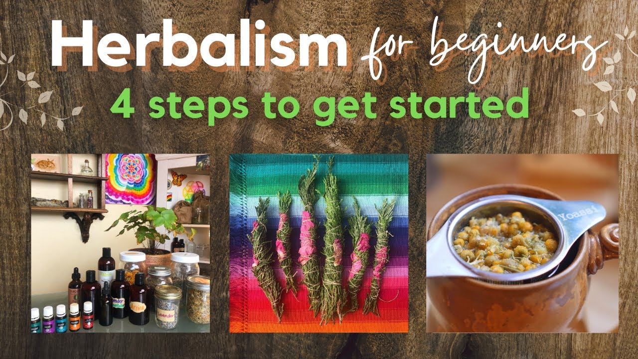 Herbalism for Beginners 4 easy steps YouTube