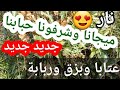 أهلا وسهلا شرفونا حبابنا دبكة الصقر هشام خضور والعملاق حسن كنجو 