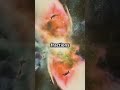 The Big Bang Theory