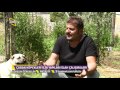 Görelim Öğrenelim - Yörük Anadolu Çoban Köpeği Irkları / Antalya