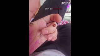 life of a fellow romanian 🙏 #schoollife #school #memes #romania