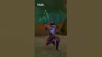 Haranir Allied Race Dance Animation in Midnight 🕺