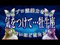 【5月21日までに見て】牡牛座の5月がちょっとヤバいかも…運勢が衝撃すぎる。