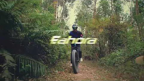 Eahora AM200. 750W Off Road Mountain Electric Bike. "Fat-Tire AM100".