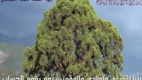 الشيخ نورين محمد صديق ماتيسرا  من سورة مريم  تلاوا تريح القلب