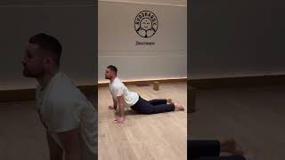 Seal Stretch