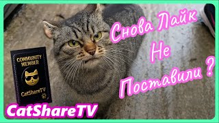 картинка: Бездомный Никита Побежал К Лехе! 🔥