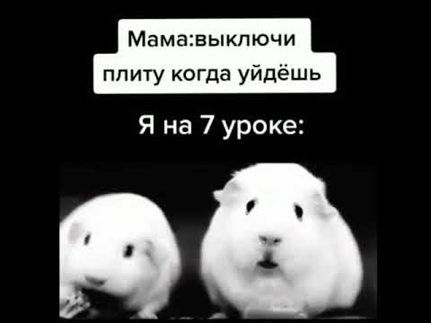 в моменте