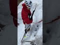 Comment chausser ses skis en pente raide vivian bruchez