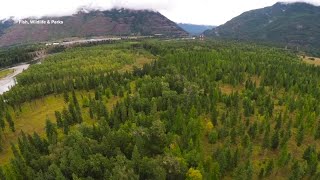 FWP working to protect 772 acres of forestland along the Flathead River