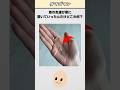 世界の「これ何？」29弾