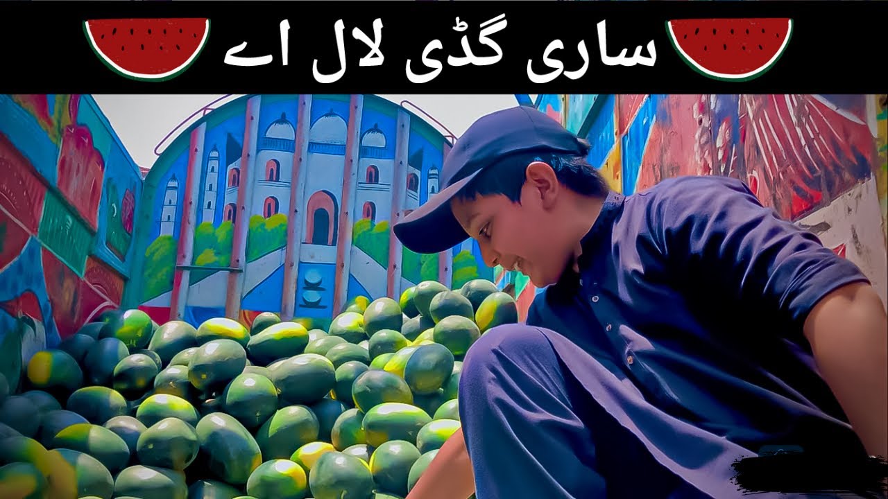  World best Watermelon 🍉 watermelon season in Pakistan SADDAM