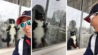 Cat Attacks Window Whenever It Spots Postwoman