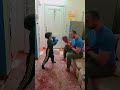 ابطال النينجا تدريب ملاكمه كيك بوكس تدريب اطفال البطل ساجد ابطال النينجا تدريب ملاكمه كيك بوكس تدريب اطفال البطل ساجد