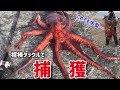 震えるデカさ‼️10キロオーバーのミズダコとファイトする。【タコ釣り】酒田離岸