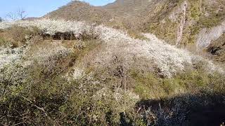 Potrero de Yala. JUJUY