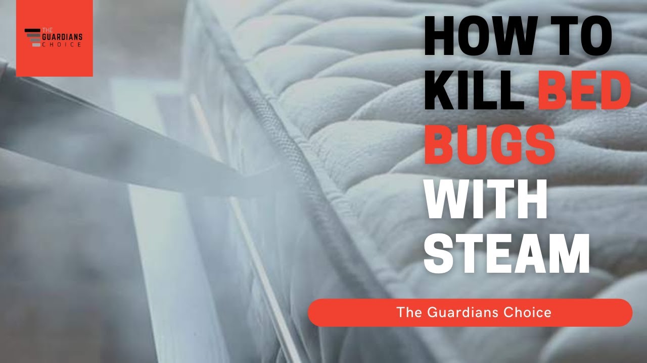 Bed Bug Steamer How To Kill Bed Bugs With Steam The Guardians Choice