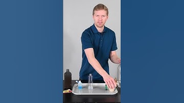Quick chemistry: Make your own elephant toothpaste!