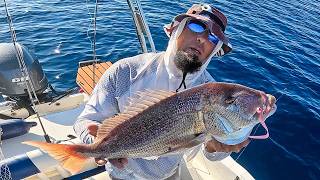 Επιθετικό #tairubber με αντιδραστικό καλάμι! #ψάρεμα #συναγρίδα #ελλάδα #fishing #dentex #hellas