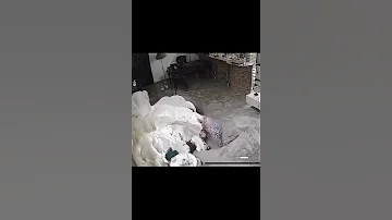 هدير عبد الرازق واحد ماسكها بيديها علقه عالميه اكسبلور ترند هدير عبدالرازق 